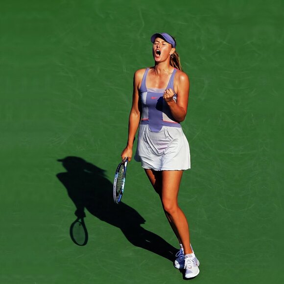 NEW! Maria Sharapova X Nike Ace Day Dress- Collector's, Special Edition, Size M - Picture 5 of 16